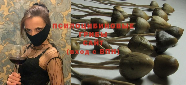 спайс Арсеньев