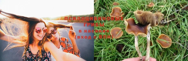 амф Балахна