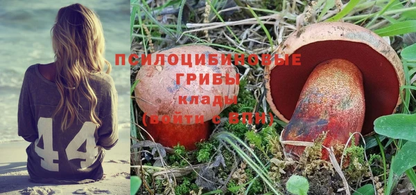 амф Балахна