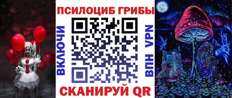 Псилоцибиновые грибы MAGIC MUSHROOMS  наркотики  Снежногорск 