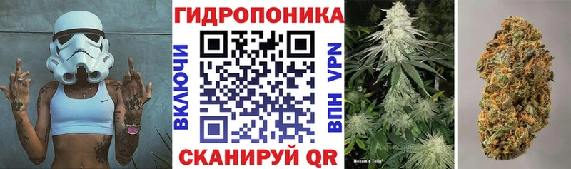 MEGA ссылки  купить закладку  Снежногорск  Каннабис марихуана 